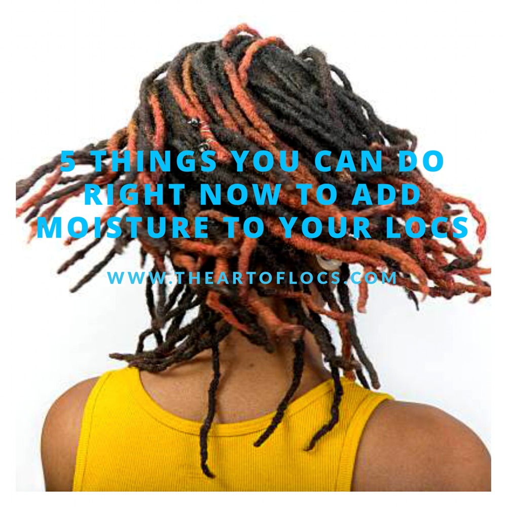 5 Things You Can Do Right Now To Add Moisture To Your Locs